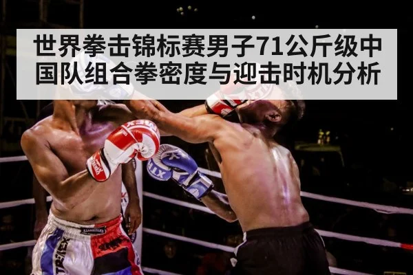 boxer training gloves