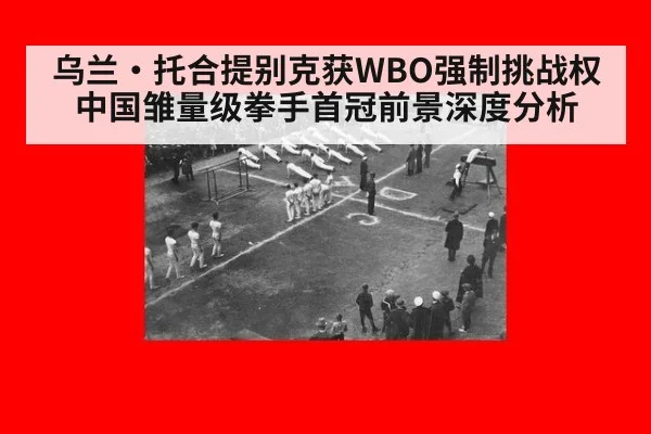 乌兰·托合提别克获WBO强制挑战权 中国雏量级拳手首冠前景深度分析